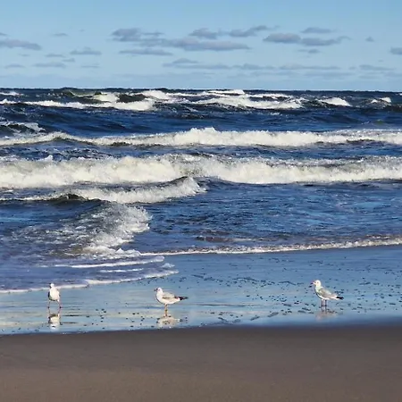 Kamena - I Najblizej Plazy בית הארחה