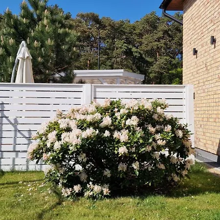 Kamena - I Najblizej Plazy