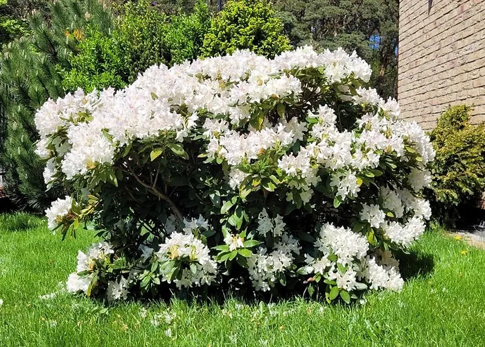 Kamena - I Najblizej Plazy Pensionat 3*