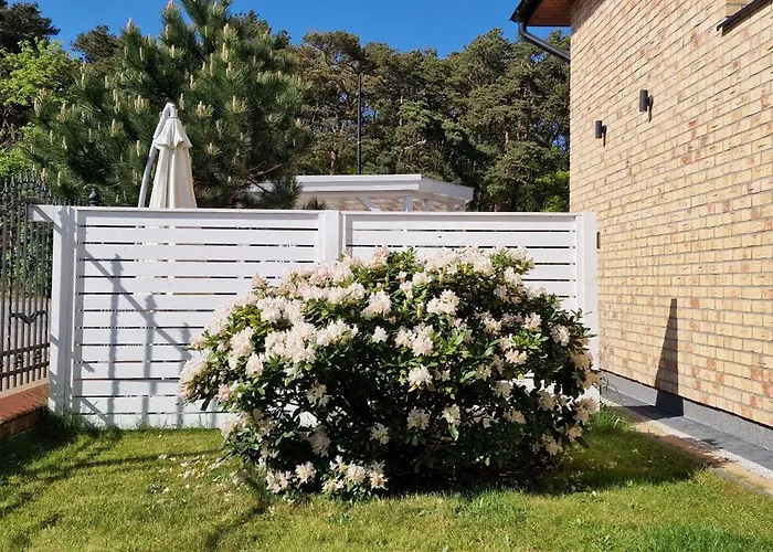 Kamena - I Najblizej Plazy